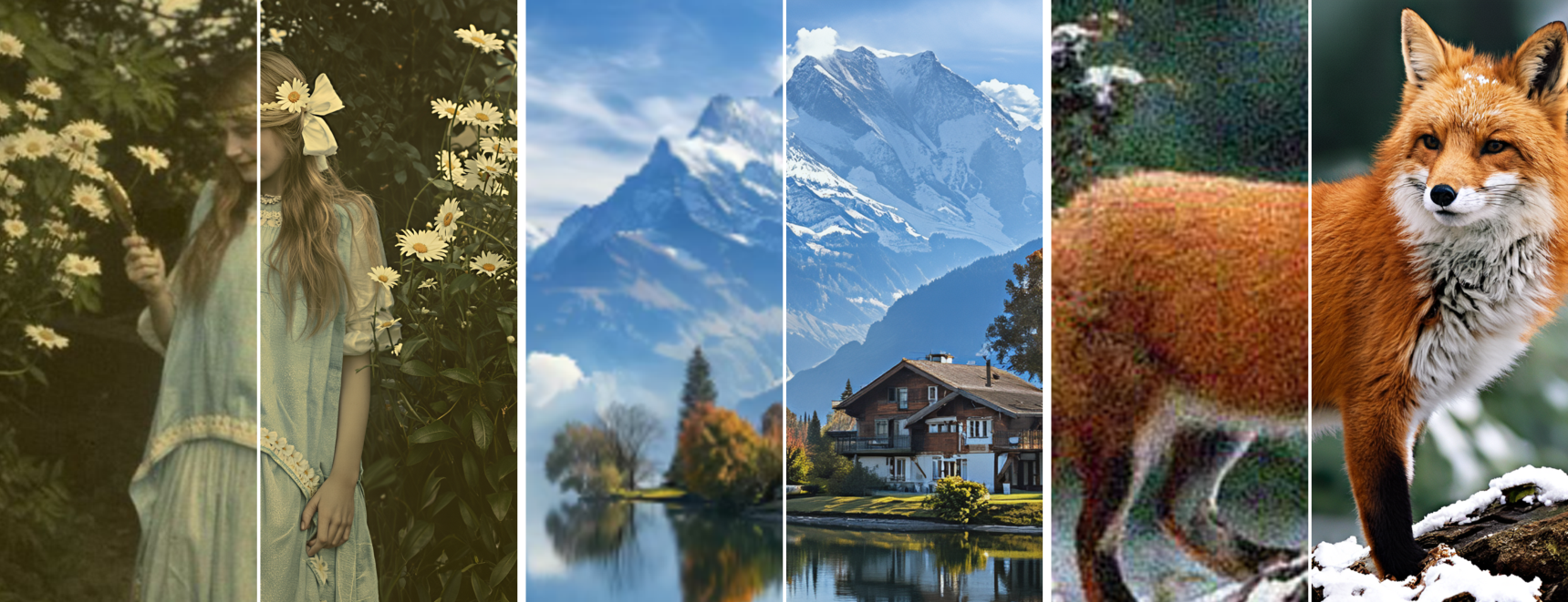 MFSR multi-step results on real-world images